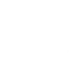 FEBE Growth 100